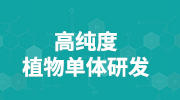 足球传奇同日告别，绿茵场回忆满满，球迷泪目